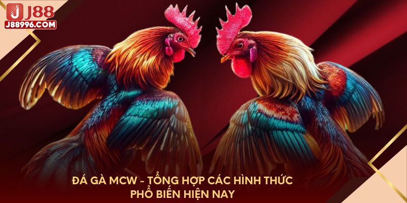 Đá gà MCW - Tổng hợp các hình thức phổ biến hiện nay