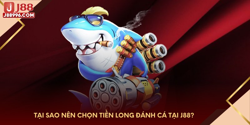 Tại sao nên chọn tiền long đánh cá tại J88?
